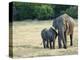 Mother and Baby Asian Elephants at Minneriya National Park, Sri Lanka, Asia-Kim Walker-Premier Image Canvas