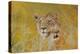 Mother and Baby I (Lions) 1995-Odile Kidd-Premier Image Canvas