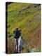 Mother and Child Hiking-null-Premier Image Canvas