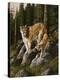 Mother and Child (Mt. Lions)-Trevor V. Swanson-Premier Image Canvas