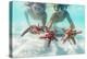 Mother and son with scuba masks showing red starfish underwater, Zanzibar, Tanzania-Roberto Moiola-Premier Image Canvas