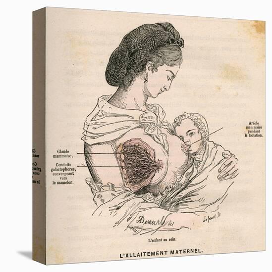Mother Breastfeeding 19C-A. Demarle-Stretched Canvas