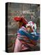 Mother Carries Her Child in Sling, Cusco, Peru-Jim Zuckerman-Premier Image Canvas