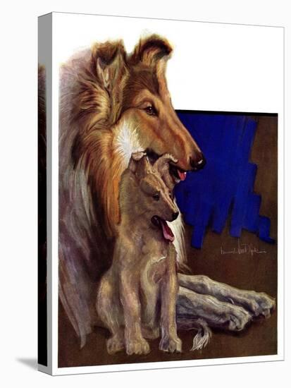 "Mother Collie and Pup,"July 15, 1933-Howard Van Dyck-Premier Image Canvas