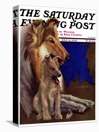 "Mother Collie and Pup," Saturday Evening Post Cover, July 15, 1933-Howard Van Dyck-Premier Image Canvas