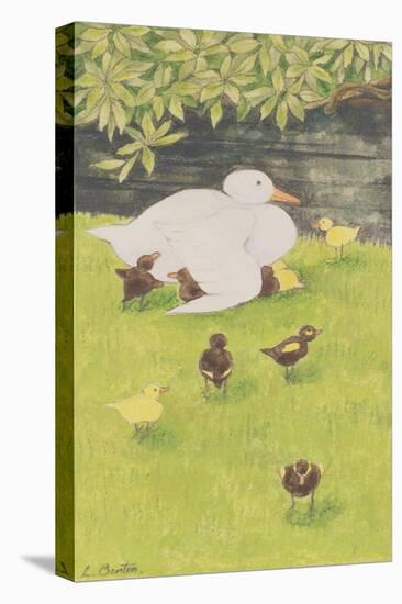 Mother Duck with Ducklings-Linda Benton-Premier Image Canvas