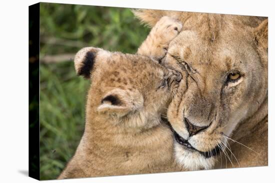 Mother Love-Alessandro Catta-Premier Image Canvas