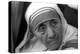 Mother Teresa-null-Premier Image Canvas