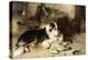 Motherless: the Shepherd's Pet, 1897-Walter Hunt-Premier Image Canvas