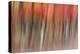 Motion blur of autumn-hued forest, Wisconsin-Brenda Tharp-Premier Image Canvas