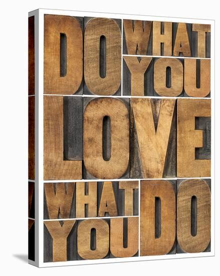 Motivational: Do What You Love-null-Stretched Canvas