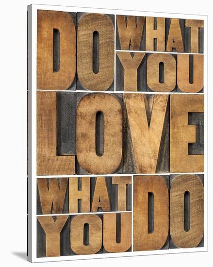 Motivational: Do What You Love-null-Stretched Canvas