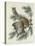 Mottled Owl, 1830-John James Audubon-Premier Image Canvas