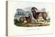 Mouflon, 1863-79-Raimundo Petraroja-Premier Image Canvas