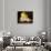 Mound of Butter-Antoine Vollon-Premier Image Canvas displayed on a wall