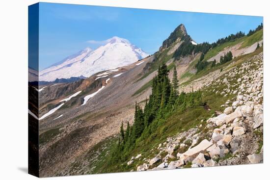 Mount Baker and Coleman Pinnacle from Ptarmigan Ridge Trail, North Cascades, Washington State-Alan Majchrowicz-Premier Image Canvas