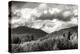 Mount Baker Exposed-Dana Styber-Premier Image Canvas