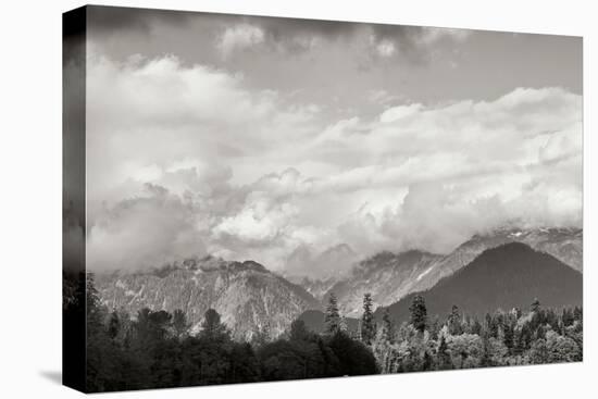 Mount Baker Shrouded-Dana Styber-Premier Image Canvas