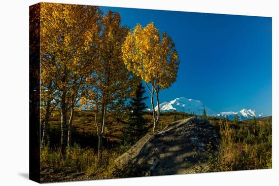 Mount Denali, previously known as McKinley from Wonder Lake, Denali National Park, Alaska-null-Premier Image Canvas