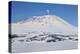 Mount Erebus, Antarctica. Panoramic Composite-Janet Muir-Premier Image Canvas