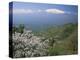 Mount Etna, Island of Sicily, Italy, Mediterranean-N A Callow-Premier Image Canvas