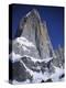 Mount Fitz Roy in Argentina-Craig Lovell-Premier Image Canvas