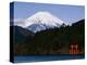 Mount Fuji and Lake Ashi-null-Premier Image Canvas