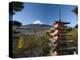 Mount Fuji and Temple, Fuji-Hakone-Izu National Park, Japan-Gavin Hellier-Premier Image Canvas