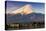 Mount Fuji at Sunrise as Seen from Lake Kawaguchi, Yamanashi Prefecture, Japan-Stefano Politi Markovina-Premier Image Canvas