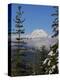 Mount Garibaldi from The Chief overlook at the summit of the Sea to Sky Gondola-Kristin Piljay-Premier Image Canvas