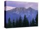 Mount Giewont and Zakopane, Tatra Mountains, Poland, Europe-Gavin Hellier-Premier Image Canvas