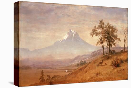 Mount Hood, 1863-Albert Bierstadt-Premier Image Canvas