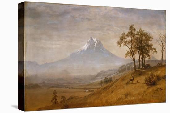 Mount Hood, 1863-Albert Bierstadt-Premier Image Canvas