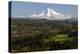 Mount Hood, Jonsrud Viewpoint, Sandy, Oregon, USA-Michel Hersen-Premier Image Canvas