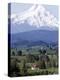 Mount Hood over Houses Scattered amongst Orchards and Firs, Pine Grove, Oregon-Don Ryan-Premier Image Canvas