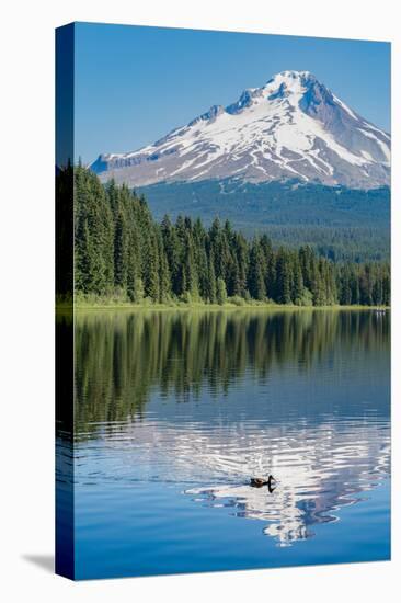 Mount Hood, part of the Cascade Range, perfectly reflected in the still waters of Trillium Lake, Or-Martin Child-Premier Image Canvas