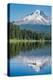 Mount Hood, part of the Cascade Range, perfectly reflected in the still waters of Trillium Lake, Or-Martin Child-Premier Image Canvas