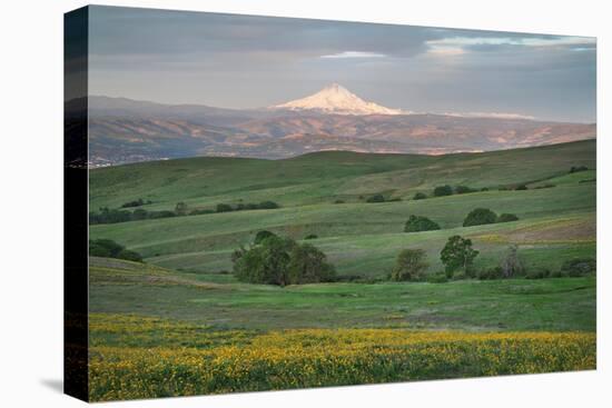 Mount Hood seen from Columbia Hills State Park, Washington State-Alan Majchrowicz-Premier Image Canvas