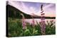 Mount Hood Wildflower View at Trillium Lake, Oregon-Vincent James-Premier Image Canvas