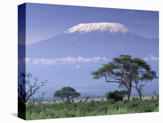 Mount Kilimanjaro, Amboseli National Park, Kenya-Art Wolfe-Premier Image Canvas