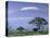 Mount Kilimanjaro, Amboseli National Park, Kenya-Art Wolfe-Premier Image Canvas