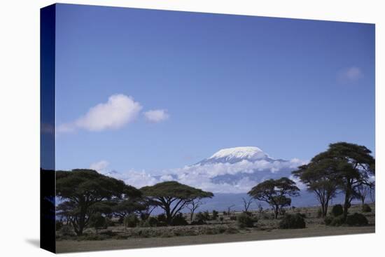 Mount Kilimanjaro, from Amboseli National Park-DLILLC-Premier Image Canvas