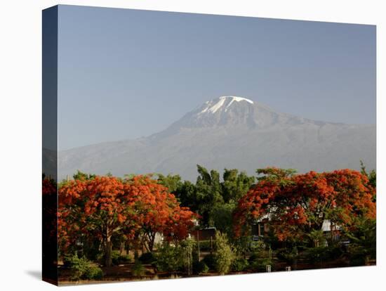 Mount Kilimanjaro, Tanzania, East Africa, Africa-Groenendijk Peter-Premier Image Canvas