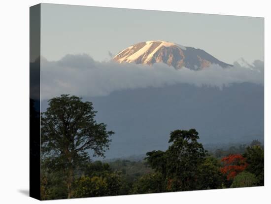Mount Kilimanjaro, UNESCO World Heritage Site, Tanzania, East Africa, Africa-Groenendijk Peter-Premier Image Canvas