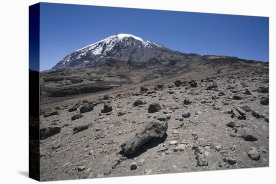 Mount Kilimanjaro-null-Premier Image Canvas