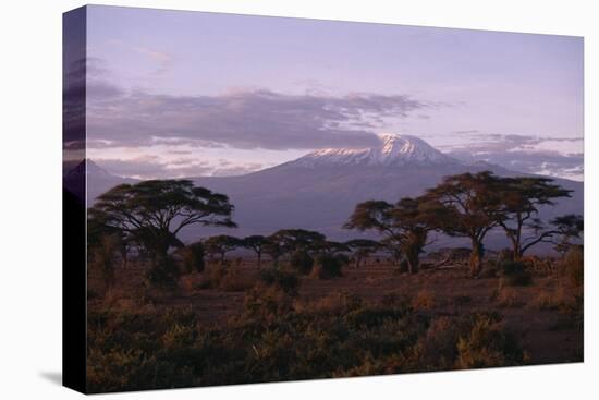 Mount Kilimanjaro-DLILLC-Premier Image Canvas