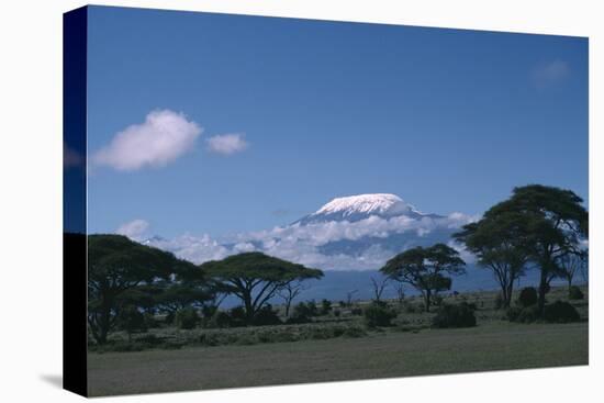 Mount Kilimanjaro-DLILLC-Premier Image Canvas