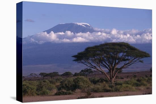 Mount Kilimanjaro-DLILLC-Premier Image Canvas