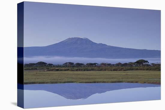 Mount Kilimanjaro-DLILLC-Premier Image Canvas