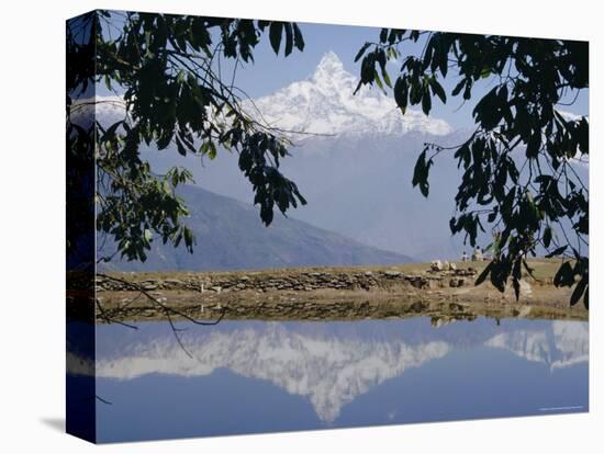 Mount Machapuchare (Machhapuchhare) Reflected in Phewa Lake, Himalayas, Nepal, Asia-N A Callow-Premier Image Canvas